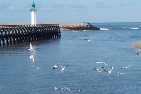 Appartamento Le Capitaine Jack Trouville-sur-Mer Esterno foto
